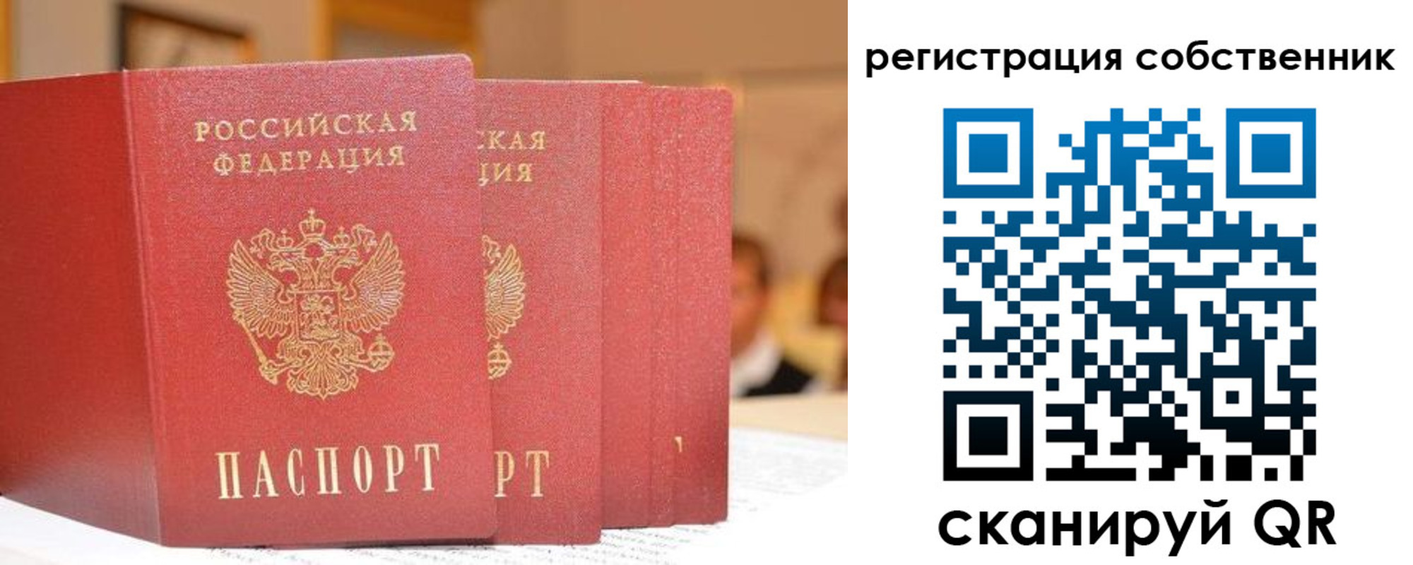 пропишу в квартире в Михайловке